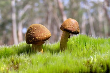 广州白云区3私人老板放款：轻松融资的秘密通道